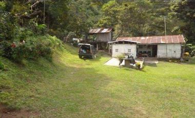 Maat vende finca en Villeta San Isidroi 12 Hectareas, $360 Millones