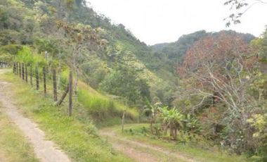 Maat vende finca en Villeta San Isidroi 12 Hectareas, $360 Millones