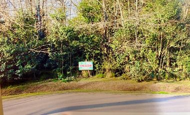 2 terrenos en venta sobre pavimento.