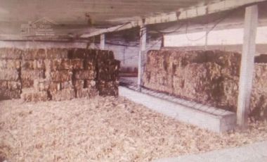 Terreno en Venta en Tulancingo Hidalgo