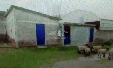 Terreno en Venta en Tulancingo Hidalgo