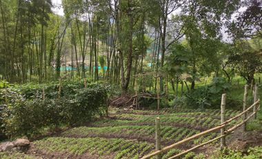 LOTE EN VENTA EN VILLAMARIA- CALDAS