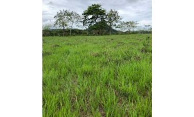 VENDO TERRENO EN LA CHORRERA SANTA RITA 23000MTS