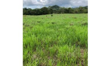 VENDO TERRENO EN LA CHORRERA SANTA RITA 23000MTS