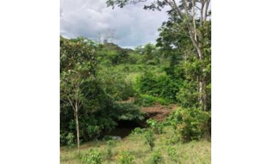 VENDO TERRENO EN LA CHORRERA SANTA RITA 23000MTS