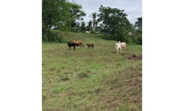 VENDO TERRENO EN LA CHORRERA SANTA RITA 23000MTS