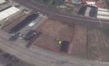 TERRENO COMERCIAL EN RENTA EN COSTA DE ORO 1000 m2