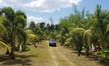 Amanday Resort Farm I Lot for Sale in Batangas