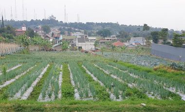 Tanah Dijual di Cisarua Bandung Barat Dekat SPN Cisarua