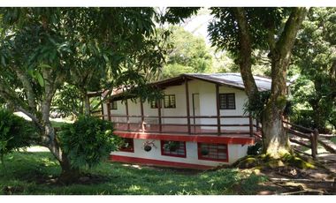 Venta de Finca en La Pintada