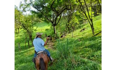 Venta de Finca en La Pintada