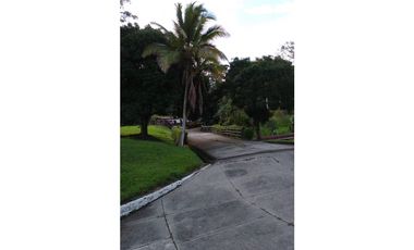 Venta de Finca en La Pintada