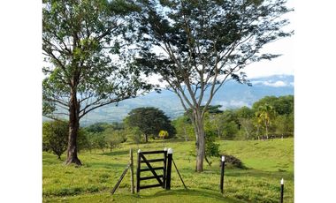 Venta de Finca en La Pintada