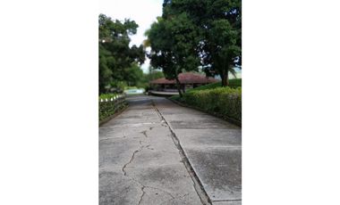 Venta de Finca en La Pintada