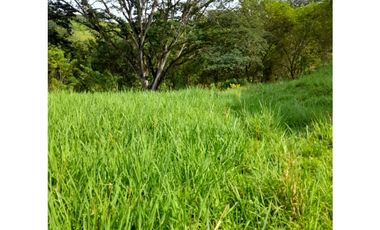 Venta de Finca en La Pintada