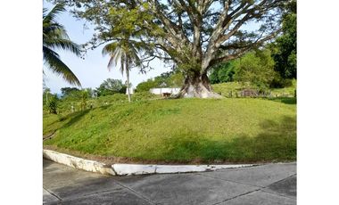 Venta de Finca en La Pintada