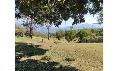 Venta de Finca en La Pintada