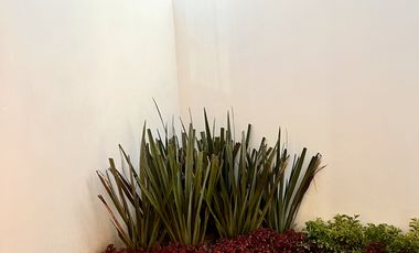 Hermosas casas en Pre- venta al sur poniente de la ciudad, aprovecha precio