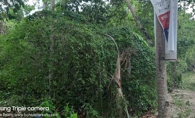 2,089𝙨𝙦𝙢 𝙏𝙖𝙬𝙖𝙡𝙖, 𝙋𝙖𝙣𝙜𝙡𝙖𝙤, 𝘽𝙤𝙝𝙤𝙡 𝙁𝙊𝙍 𝙇𝙀𝘼𝙎𝙀 | 𝘽𝙊𝙃𝙊𝙇𝘼𝙉𝘼 𝙍𝙀𝘼𝙇𝙏𝙔