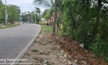 2,089𝙨𝙦𝙢 𝙏𝙖𝙬𝙖𝙡𝙖, 𝙋𝙖𝙣𝙜𝙡𝙖𝙤, 𝘽𝙤𝙝𝙤𝙡 𝙁𝙊𝙍 𝙇𝙀𝘼𝙎𝙀 | 𝘽𝙊𝙃𝙊𝙇𝘼𝙉𝘼 𝙍𝙀𝘼𝙇𝙏𝙔