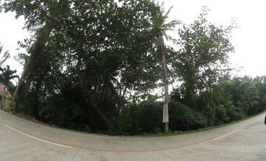 2,089𝙨𝙦𝙢 𝙏𝙖𝙬𝙖𝙡𝙖, 𝙋𝙖𝙣𝙜𝙡𝙖𝙤, 𝘽𝙤𝙝𝙤𝙡 𝙁𝙊𝙍 𝙇𝙀𝘼𝙎𝙀 | 𝘽𝙊𝙃𝙊𝙇𝘼𝙉𝘼 𝙍𝙀𝘼𝙇𝙏𝙔