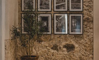 Invierte en Hacienda Kikteil: Lotes con Wellness Center, Coworking y Áreas Verde