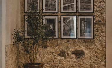 Invierte en Hacienda Kikteil: Lotes con Wellness Center, Coworking y Áreas Verde