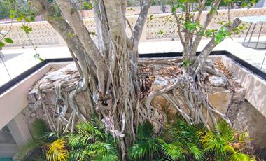 Invierte en Hacienda Kikteil: Lotes con Wellness Center, Coworking y Áreas Verde