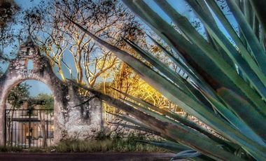 Invierte en Hacienda Kikteil: Lotes con Wellness Center, Coworking y Áreas Verde