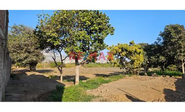 Venta De Terreno 1209 M2 En Campiña De Moche - Oportunidad Para Invertir En Zona De Crecimiento