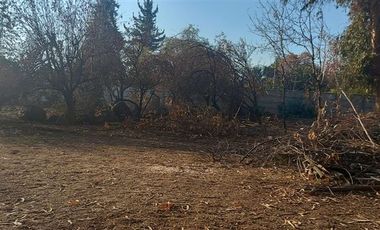 Sitio en Venta en Maria Monvel sector medio