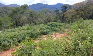 lote en venta en la garita. Cod V10641