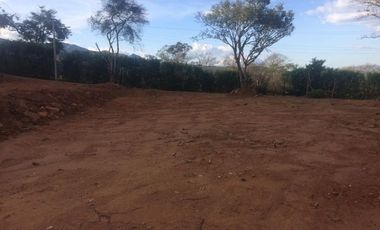 lote en venta en la garita. Cod V10641