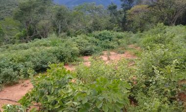 lote en venta en la garita. Cod V10641