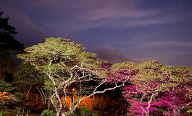 casa campestre en venta en san miguel alto. Cod V9155