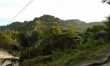 145 Sqm Overlooking Lot for Sale near Talamban Cebu City with Mountain View