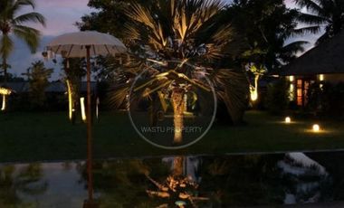 FOR SALE VILLA MEWAH DI UBUD BALI, HARGA MURAH COCOK UNTUK INVESTASI
