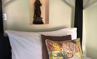 FOR SALE VILLA MEWAH DI UBUD BALI, HARGA MURAH COCOK UNTUK INVESTASI