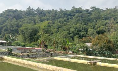 DIJUAL Villa di Cipeundeuy Sukabumi - asri & alami utk invest/rmh istirahat