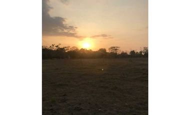 VENTA DE LOTE ESQUINERO EN LA ENTRADA DE LOS PERICOS