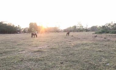 VENTA DE LOTE ESQUINERO EN LA ENTRADA DE LOS PERICOS