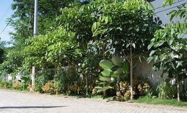 Perumahan Murah Minimalis Type 34 di Graha Arimbi Salatiga