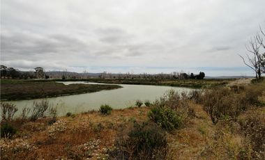 TONGOY IV REGION, HUMEDAL,VENTA DE TERRENOS