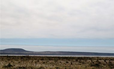TONGOY IV REGION, HUMEDAL,VENTA DE TERRENOS