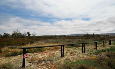 TONGOY IV REGION, HUMEDAL,VENTA DE TERRENOS