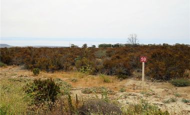 TONGOY IV REGION, HUMEDAL,VENTA DE TERRENOS