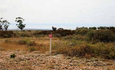 TONGOY IV REGION, HUMEDAL,VENTA DE TERRENOS