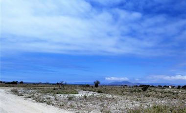 TONGOY IV REGION, HUMEDAL,VENTA DE TERRENOS