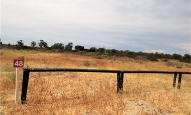 TONGOY IV REGION, HUMEDAL,VENTA DE TERRENOS