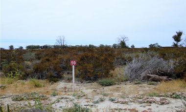 TONGOY IV REGION, HUMEDAL,VENTA DE TERRENOS